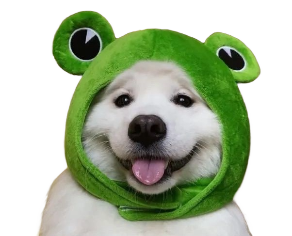 dog